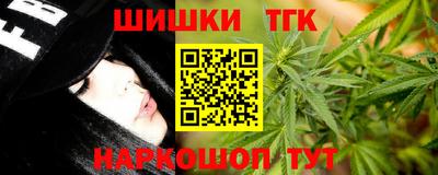 гашик Нальчик
