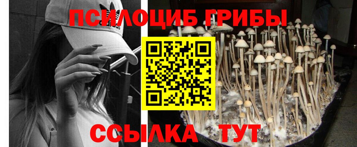 Псилоцибиновые грибы Magic Shrooms Троицк