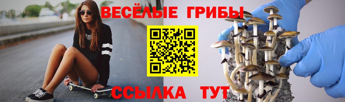 Троицк  Галлюциногенные грибы Magic Shrooms  Вход с VPN 